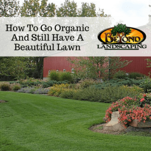 How To Go Organic And Still Have A Beautiful Lawn