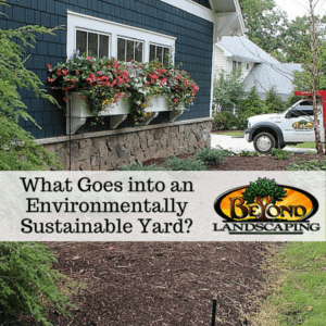 What Goes into an Environmentally Sustainable Yard-